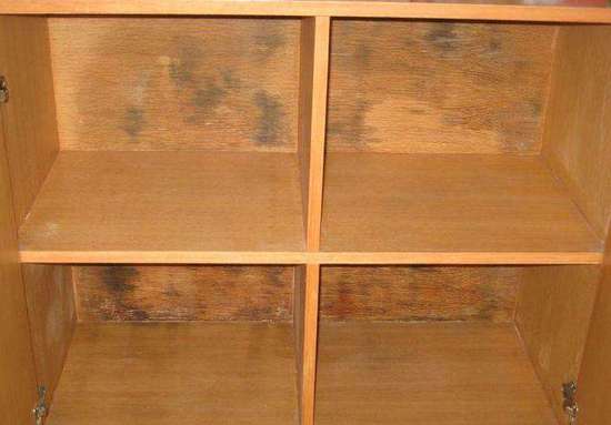 衣柜發(fā)霉怎么處理?一學(xué)就會